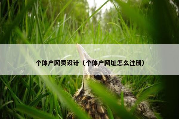 个体户网页设计（个体户网址怎么注册）