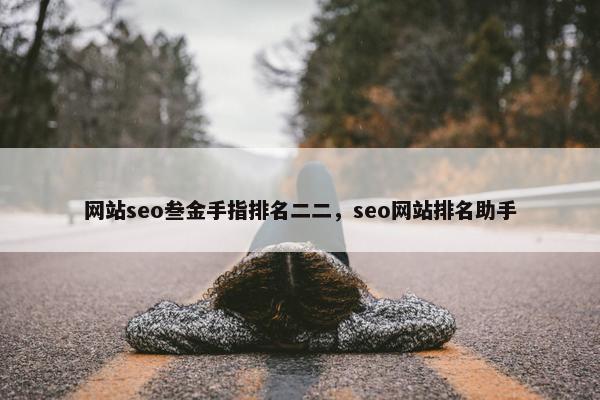 网站seo叁金手指排名二二，seo网站排名助手