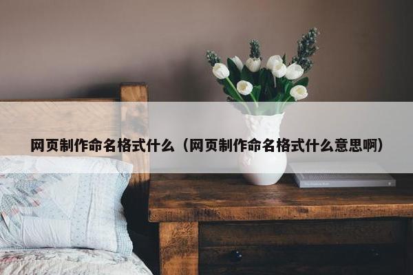网页制作命名格式什么（网页制作命名格式什么意思啊）