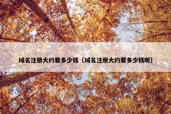 域名注册大约要多少钱（域名注册大约要多少钱呢）