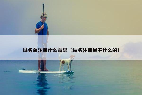 域名单注册什么意思（域名注册是干什么的）