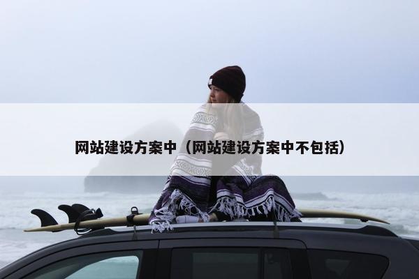 网站建设方案中（网站建设方案中不包括）