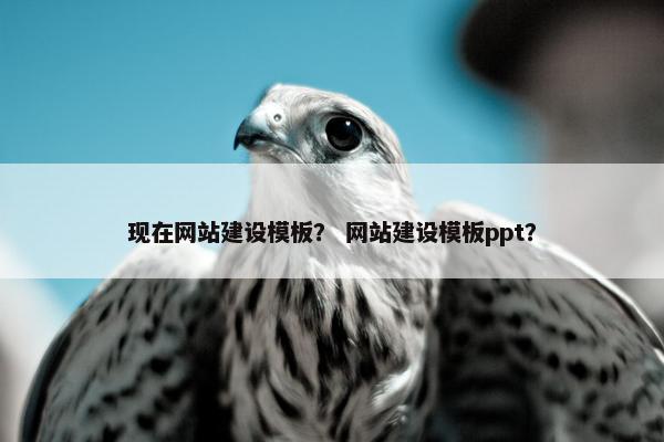 现在网站建设模板？ 网站建设模板ppt？