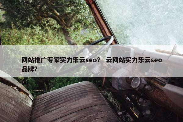 网站推广专家实力乐云seo？ 云网站实力乐云seo品牌？