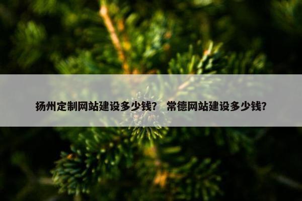 扬州定制网站建设多少钱？ 常德网站建设多少钱？
