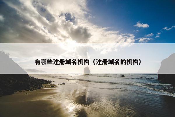 有哪些注册域名机构（注册域名的机构）