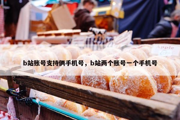 b站账号支持俩手机号，b站两个账号一个手机号
