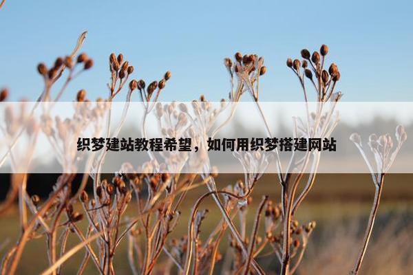 织梦建站教程希望，如何用织梦搭建网站
