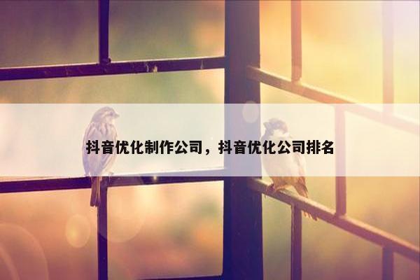 抖音优化制作公司，抖音优化公司排名