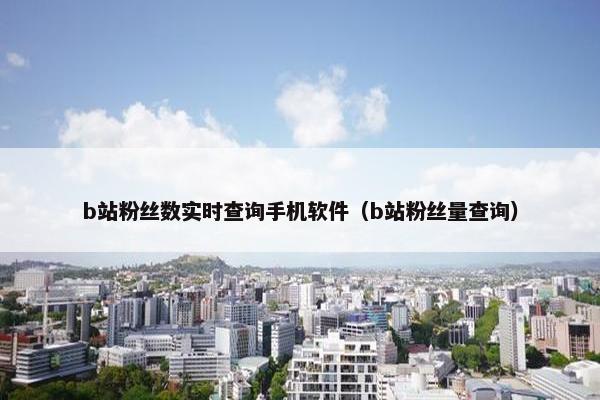 b站粉丝数实时查询手机软件（b站粉丝量查询）
