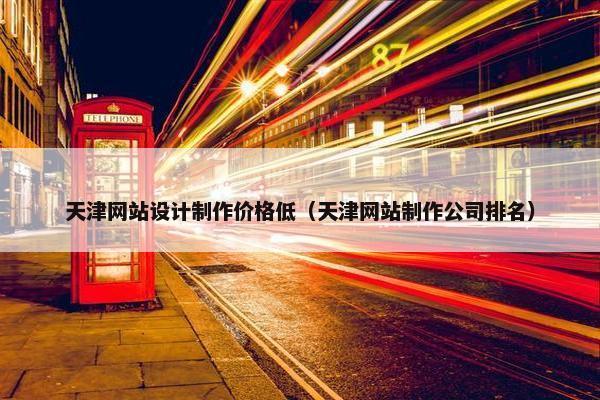 天津网站设计制作价格低（天津网站制作公司排名）