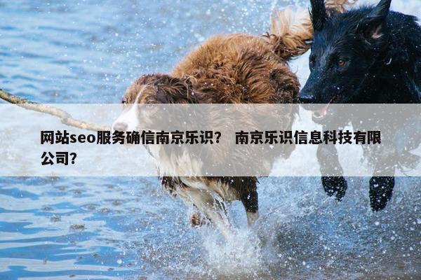 网站seo服务确信南京乐识？ 南京乐识信息科技有限公司？