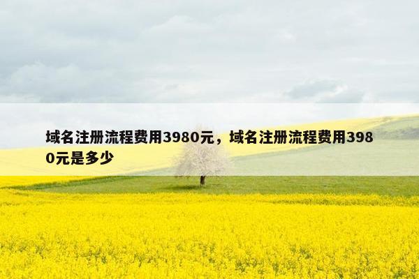 域名注册流程费用3980元，域名注册流程费用3980元是多少