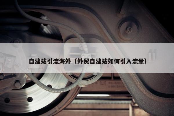自建站引流海外（外贸自建站如何引入流量）