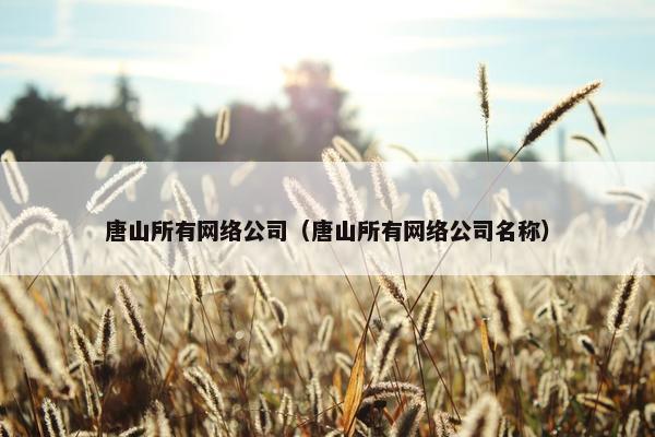 唐山所有网络公司（唐山所有网络公司名称）