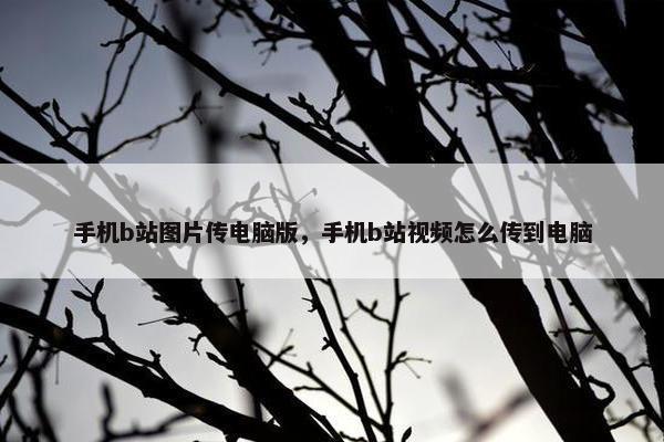 手机b站图片传电脑版，手机b站视频怎么传到电脑