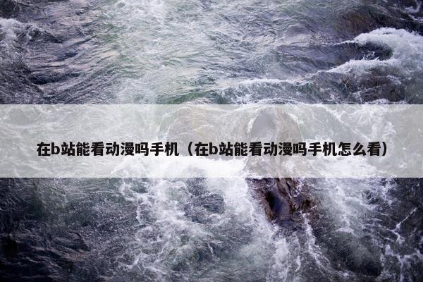在b站能看动漫吗手机（在b站能看动漫吗手机怎么看）