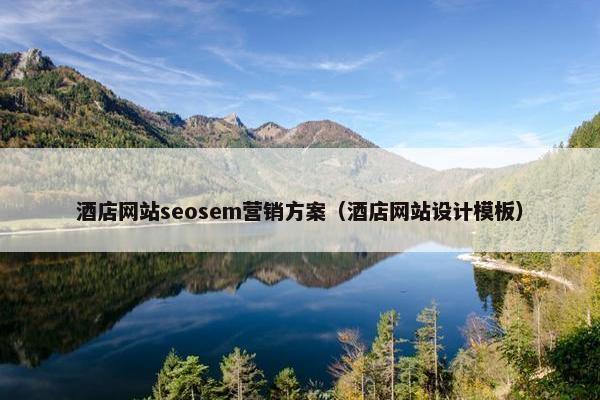 酒店网站seosem营销方案（酒店网站设计模板）