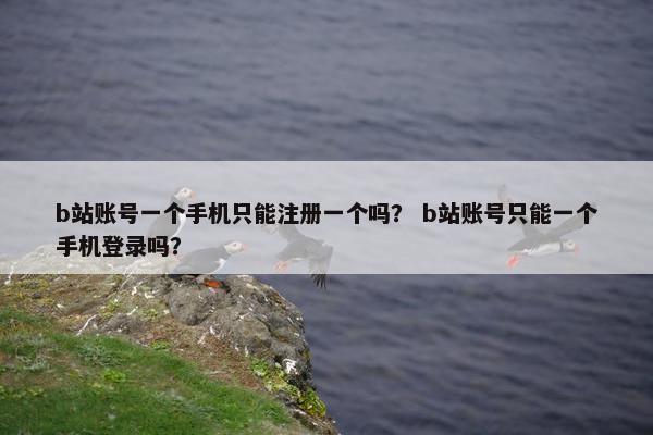 b站账号一个手机只能注册一个吗？ b站账号只能一个手机登录吗？