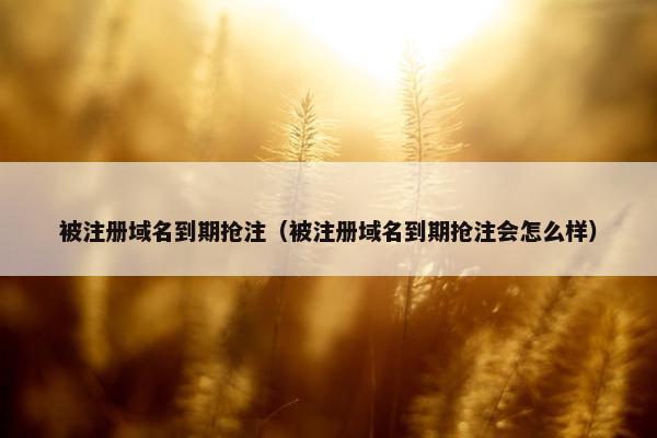 被注册域名到期抢注（被注册域名到期抢注会怎么样）