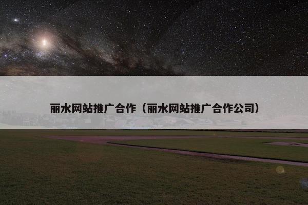 丽水网站推广合作（丽水网站推广合作公司）