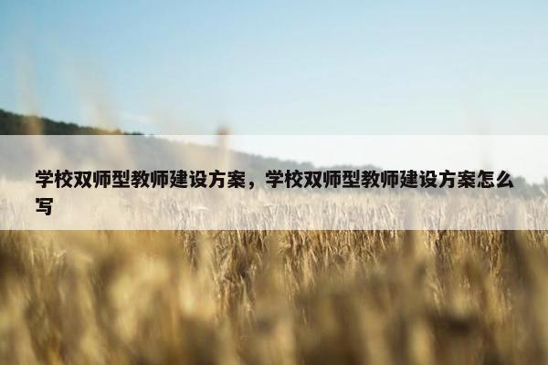 学校双师型教师建设方案，学校双师型教师建设方案怎么写