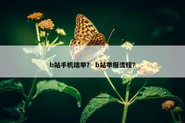 b站手机端举？ b站举报流程？