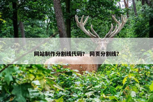 网站制作分割线代码？ 网页分割线？