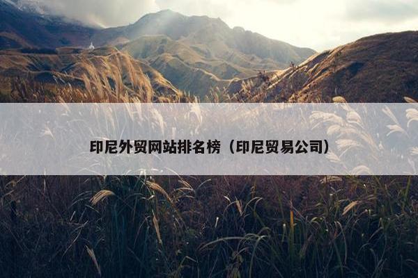 印尼外贸网站排名榜（印尼贸易公司）