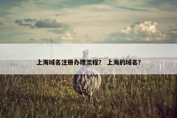 上海域名注册办理流程？ 上海的域名？