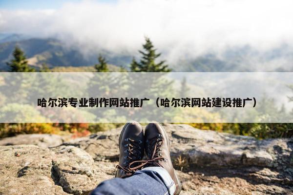 哈尔滨专业制作网站推广（哈尔滨网站建设推广）