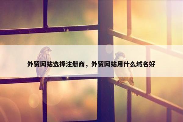 外贸网站选择注册商，外贸网站用什么域名好