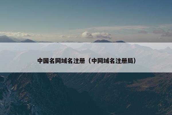 中国名网域名注册（中网域名注册局）