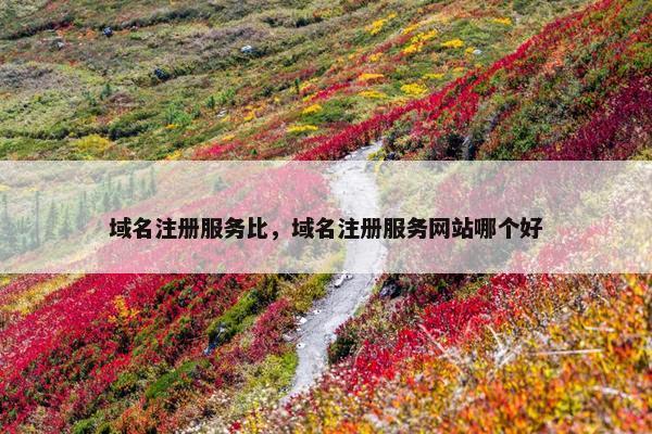 域名注册服务比，域名注册服务网站哪个好