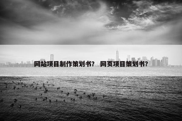 网站项目制作策划书？ 网页项目策划书？