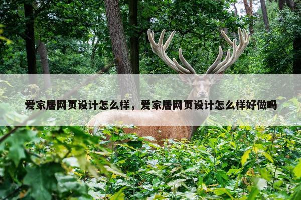 爱家居网页设计怎么样，爱家居网页设计怎么样好做吗