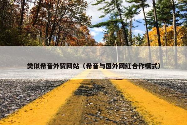 类似希音外贸网站（希音与国外网红合作模式）
