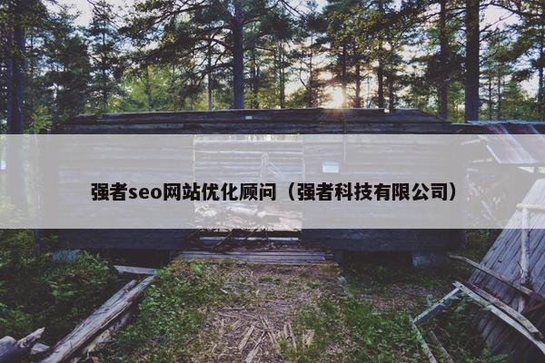 强者seo网站优化顾问（强者科技有限公司）