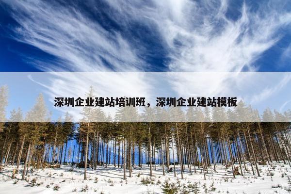 深圳企业建站培训班，深圳企业建站模板