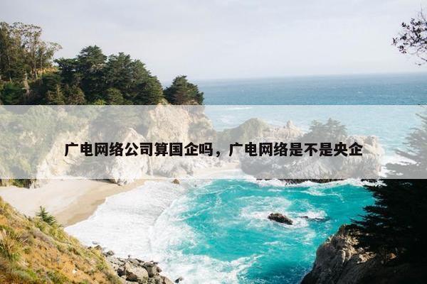 广电网络公司算国企吗，广电网络是不是央企