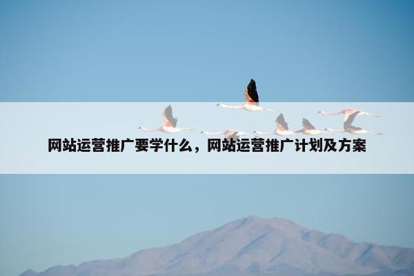 网站运营推广要学什么，网站运营推广计划及方案