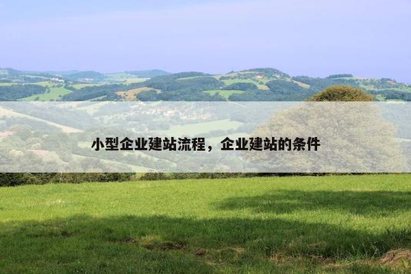 小型企业建站流程，企业建站的条件
