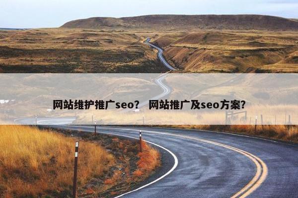 网站维护推广seo？ 网站推广及seo方案？