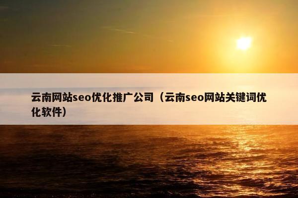 云南网站seo优化推广公司（云南seo网站关键词优化软件）