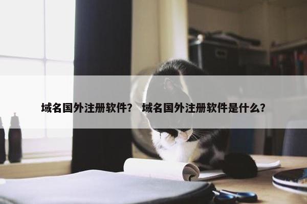 域名国外注册软件？ 域名国外注册软件是什么？