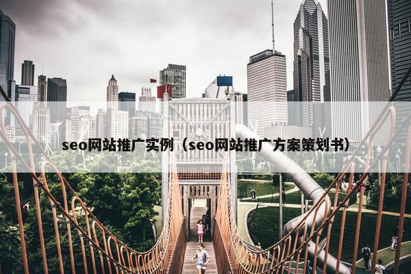 seo网站推广实例（seo网站推广方案策划书）
