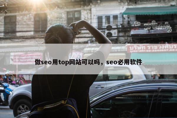 做seo用top网站可以吗，seo必用软件