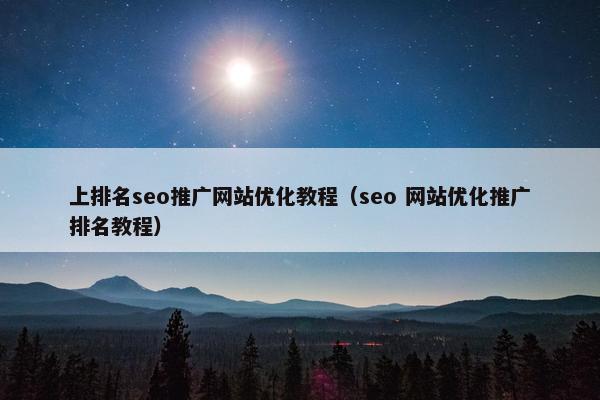 上排名seo推广网站优化教程（seo 网站优化推广排名教程）