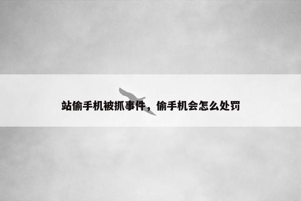 站偷手机被抓事件，偷手机会怎么处罚