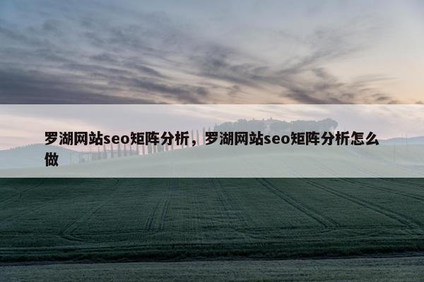 罗湖网站seo矩阵分析，罗湖网站seo矩阵分析怎么做